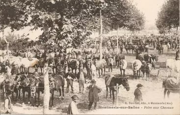 foire-chevaux