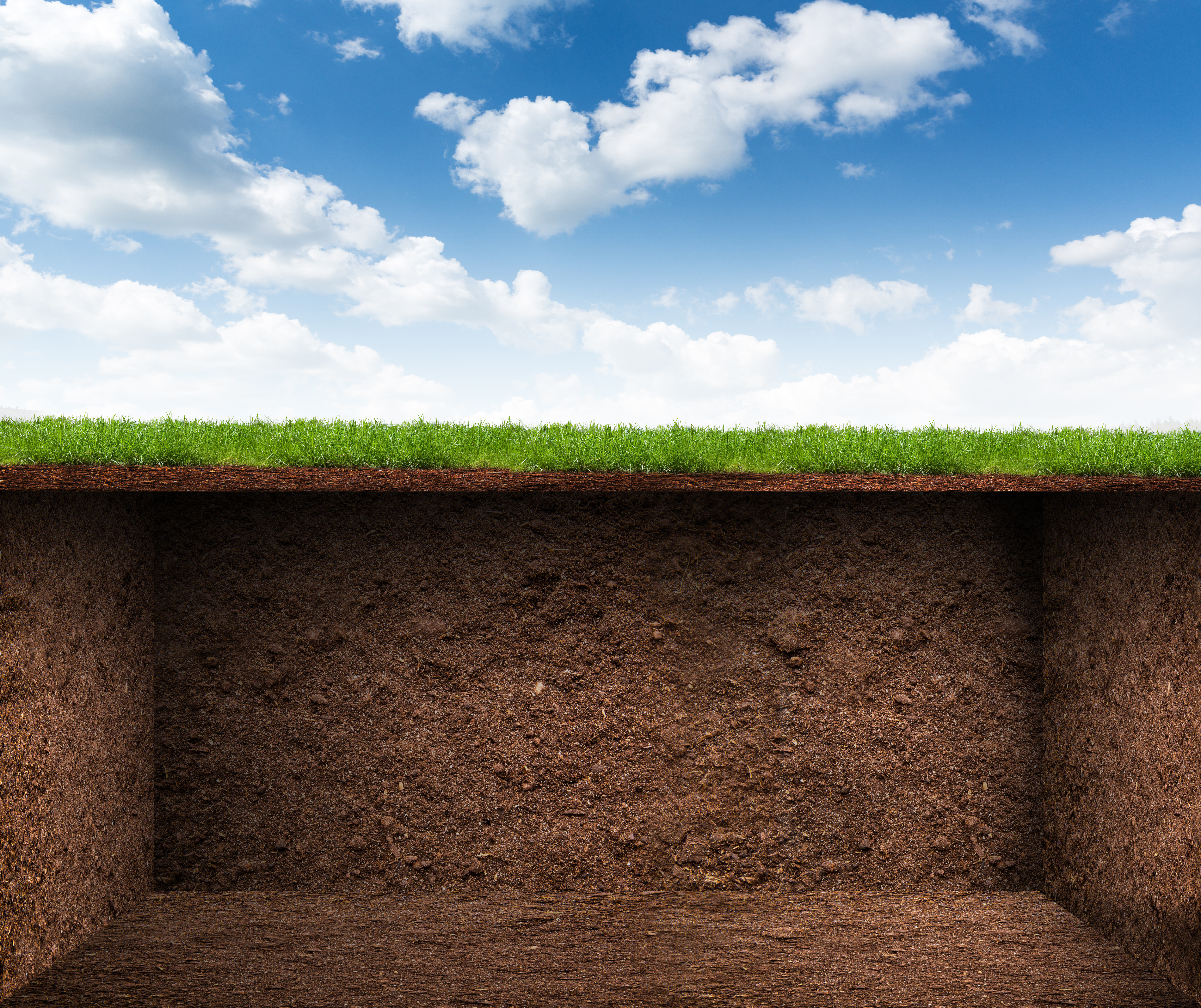 Construire un bunker dans son jardin : nouvelle tendance pour 2023 ?