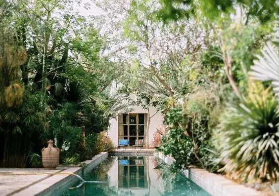 jardin tendance avec piscine et verdure.